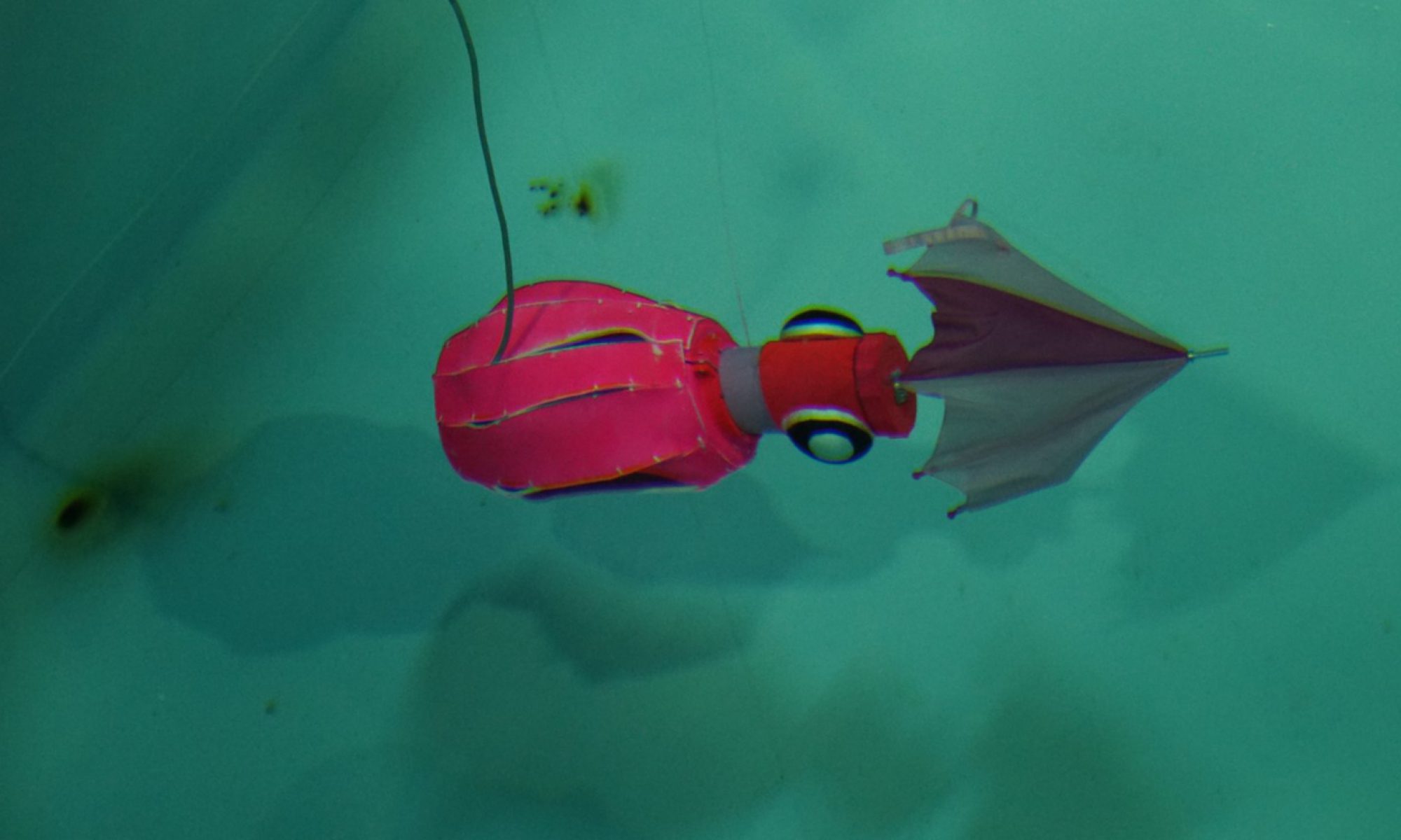 ‘18水中ロボットコンベンションin JAMSTEC ～海と日本プロジェクト～